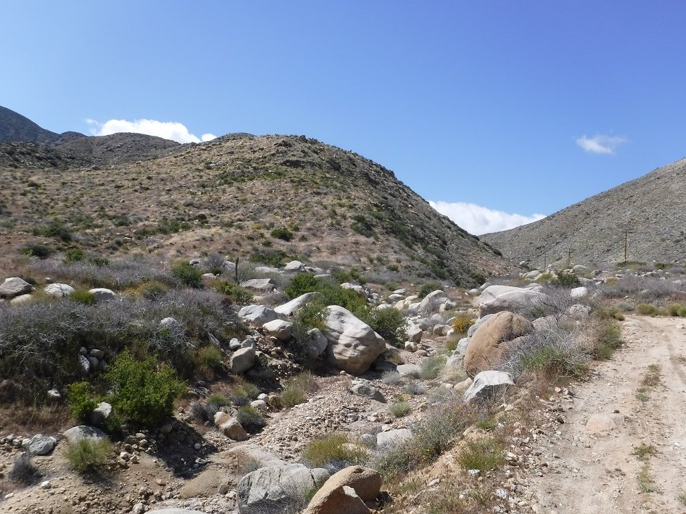DSCF8827.jpg