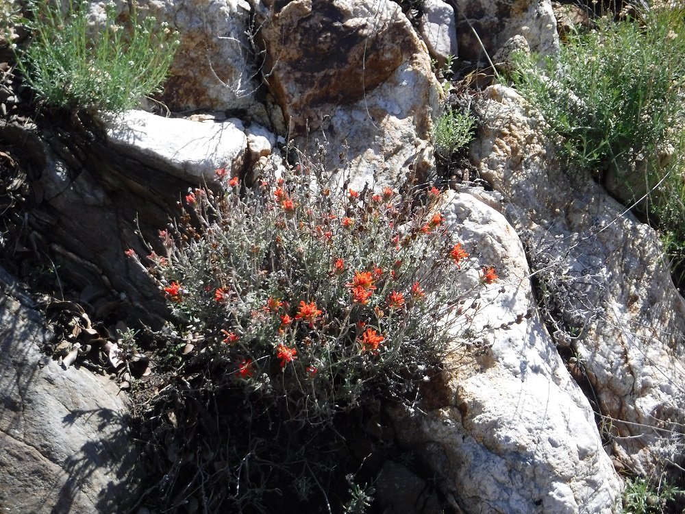 DSCF8834.jpg