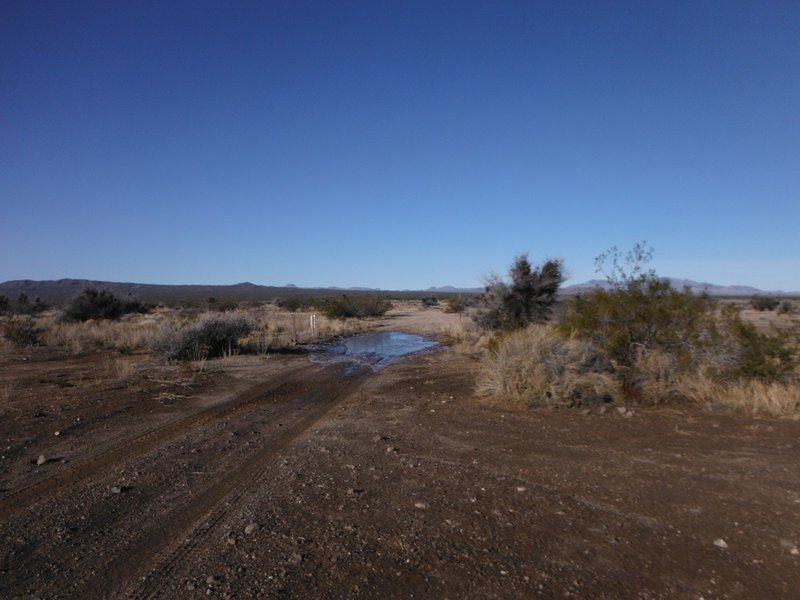DSCF8917.jpg