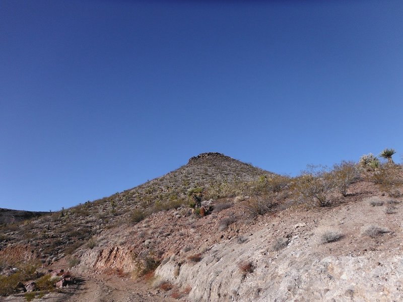 DSCF8921.jpg