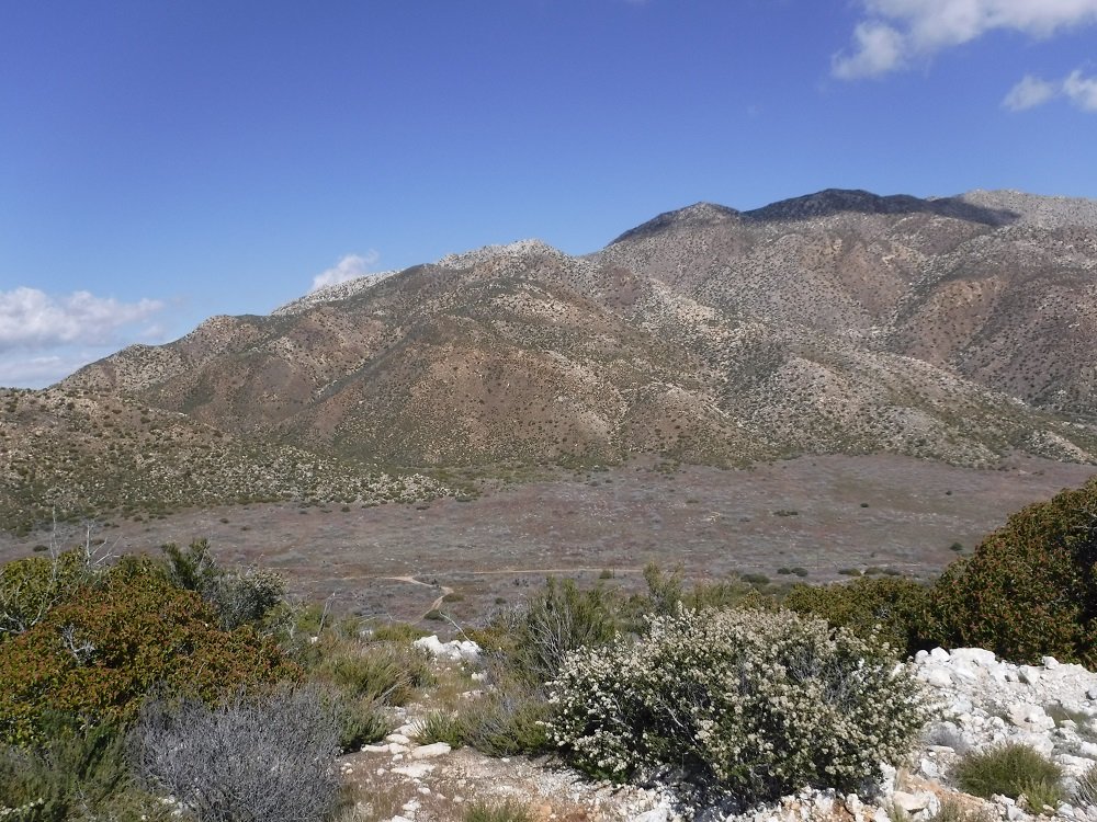 DSCF8926.jpg