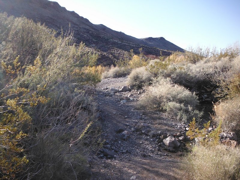 DSCF8949.jpg