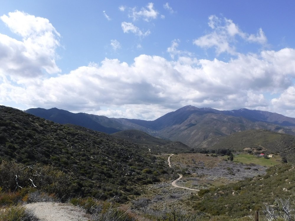 DSCF9029.jpg