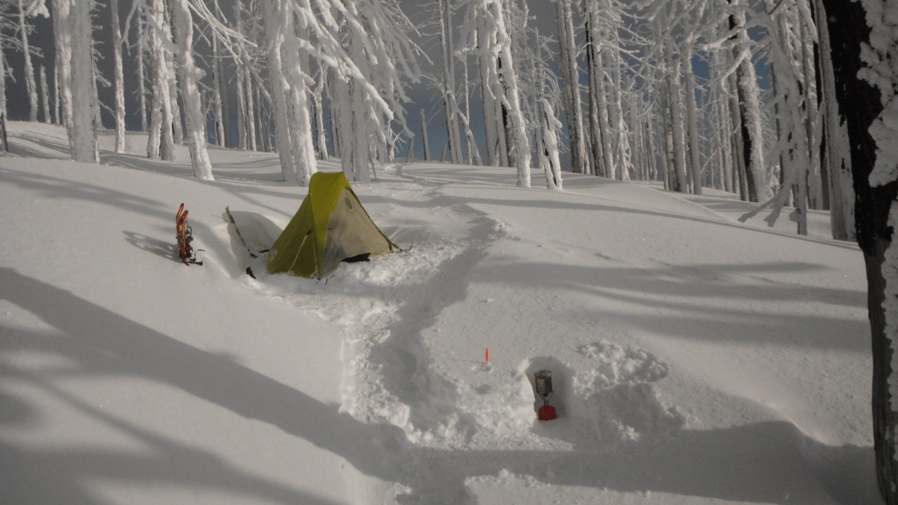 DSCF9480.jpg