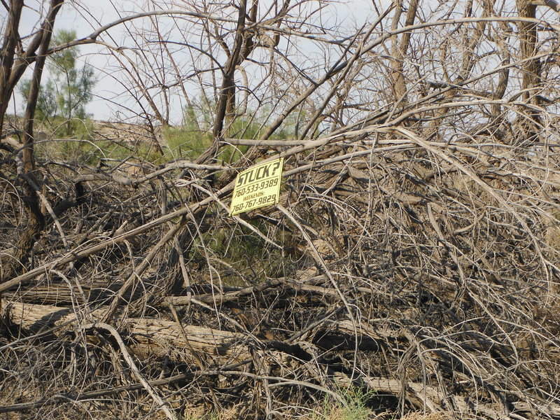 DSCF9636.jpg
