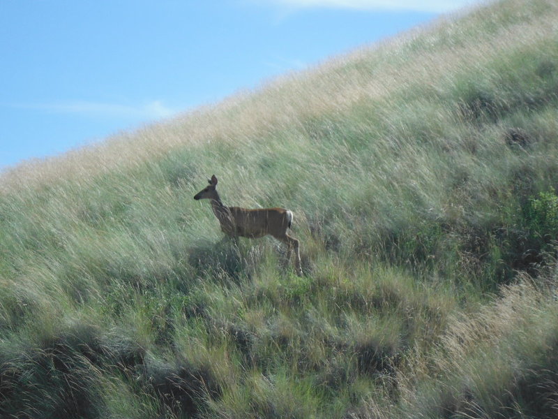 DSCF9672.jpg