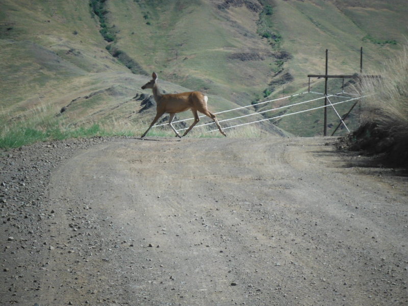 DSCF9678.jpg