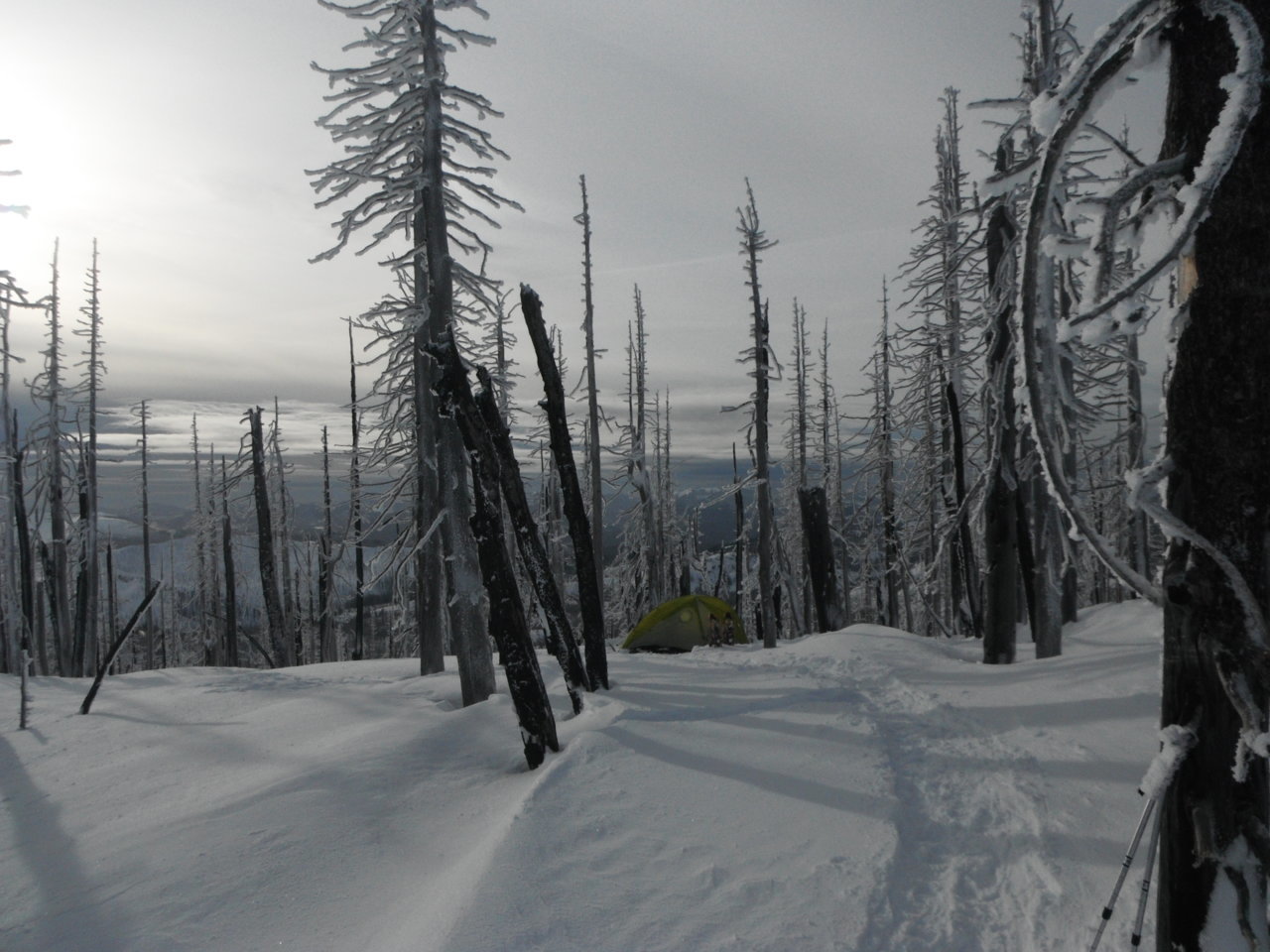 DSCF9708.jpg