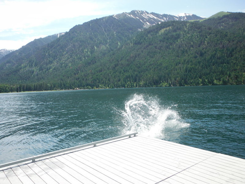 DSCF9828.jpg