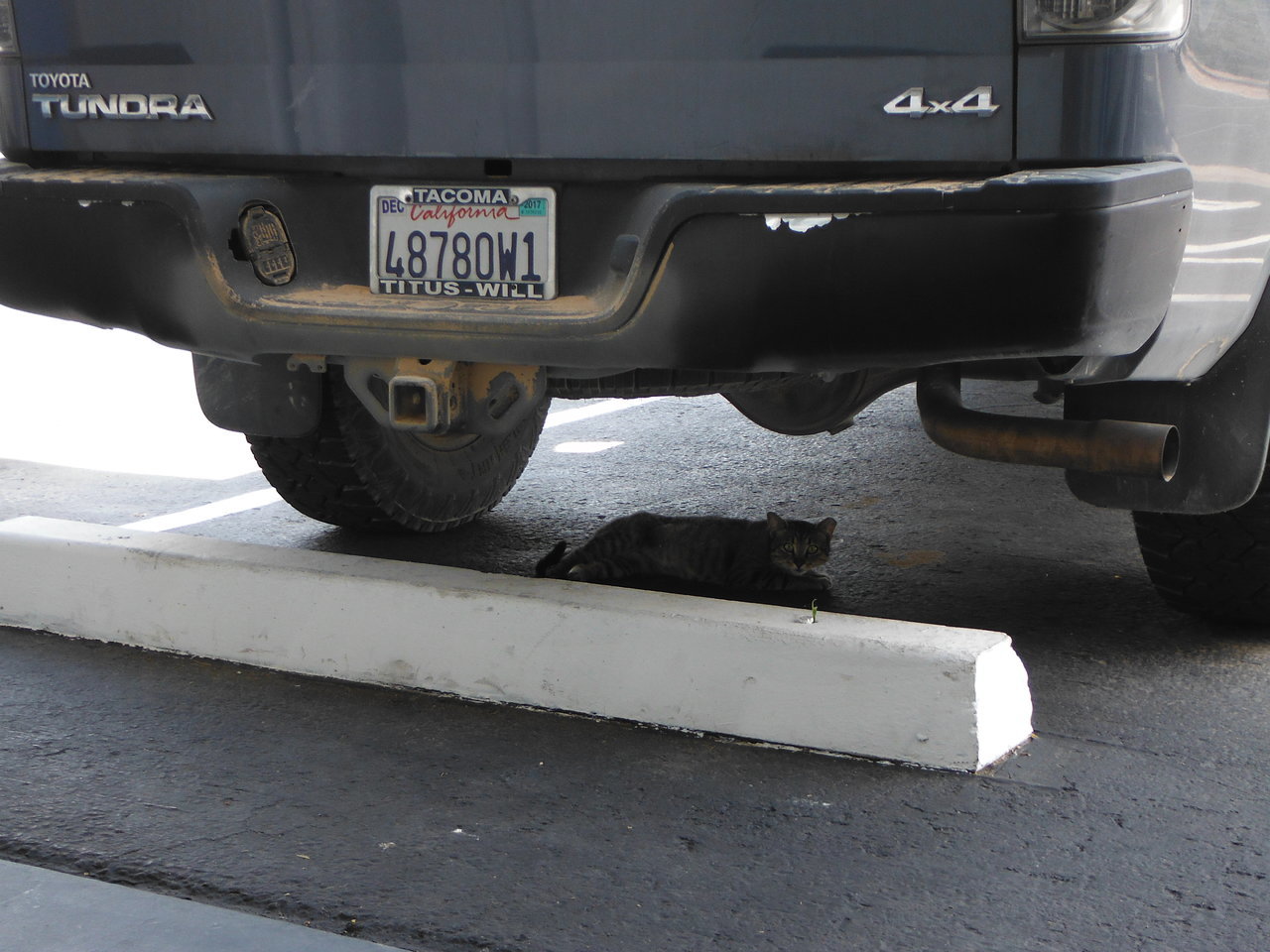 DSCF9895.jpg