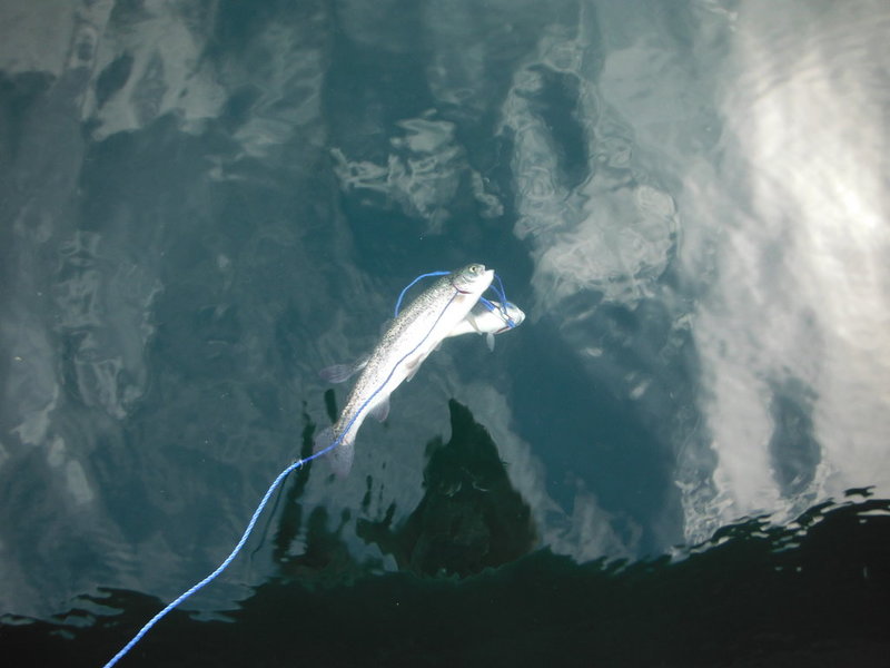 DSCF9901.jpg