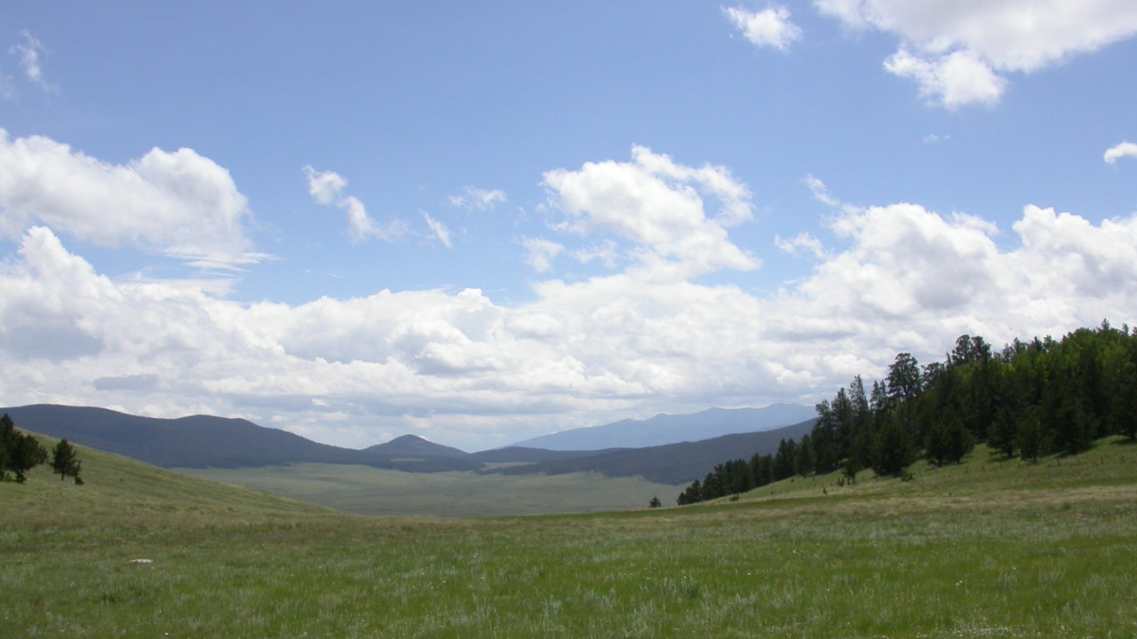 dscn0002a.jpg