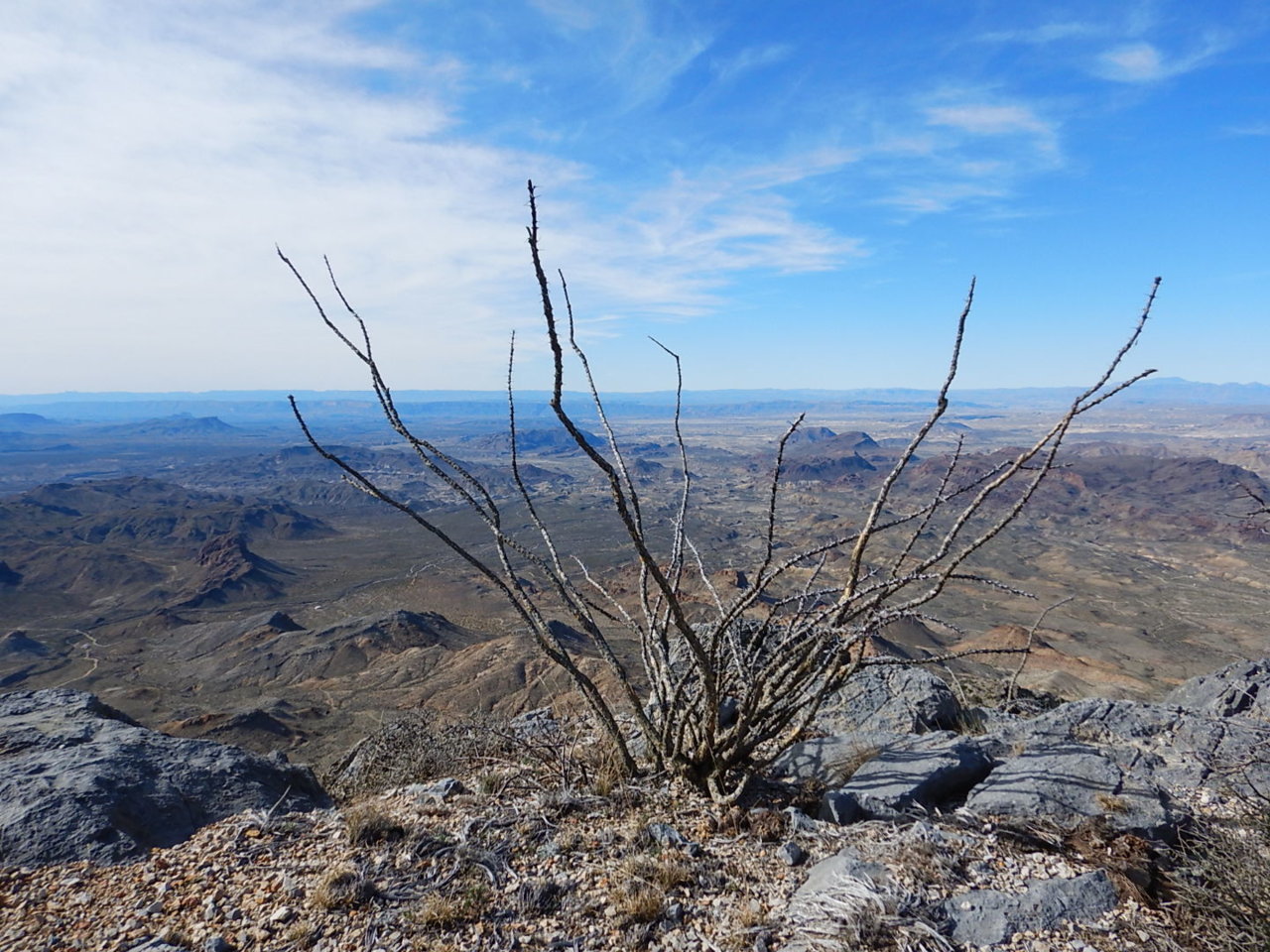 DSCN0081.jpg