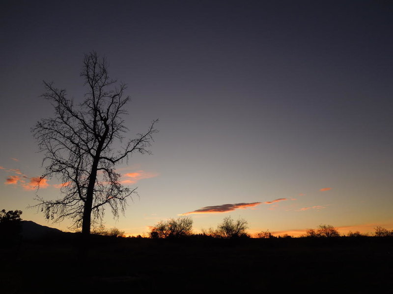 DSCN0106.jpg