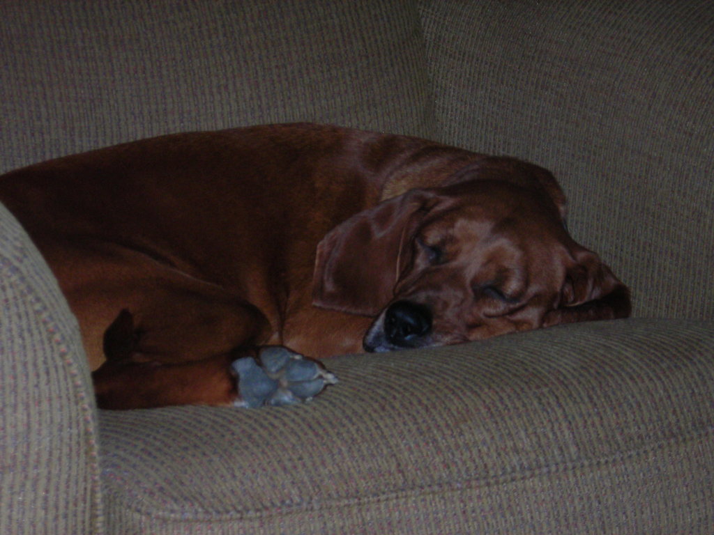 DSCN0114.jpg