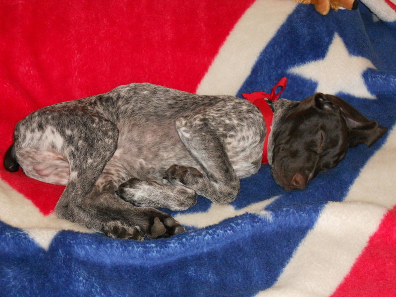 DSCN0124.jpg