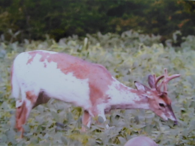 DSCN0137.jpg