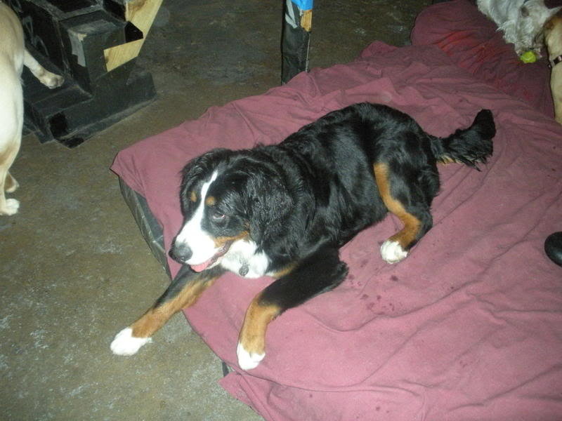 DSCN0152_c25fbe147321f5b0b1d2fec77daea5ba23d4caf8.jpg
