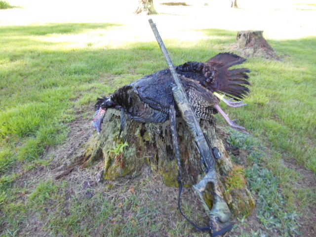 DSCN0154.jpg
