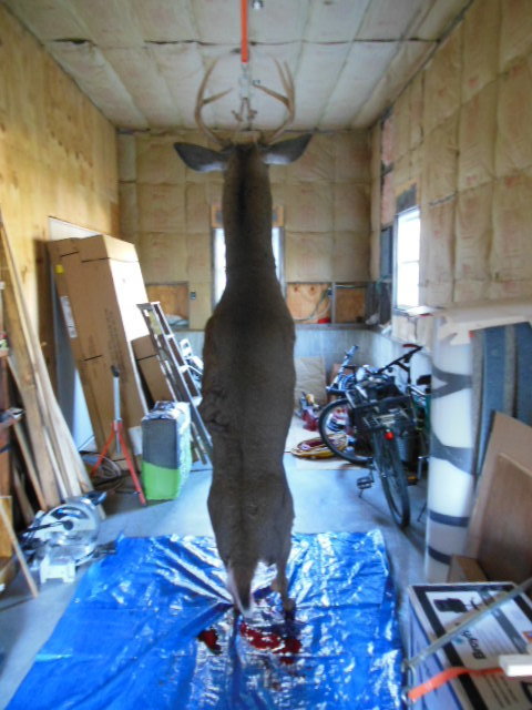 DSCN0165.jpg