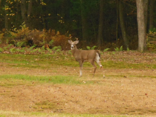 DSCN0175.jpg