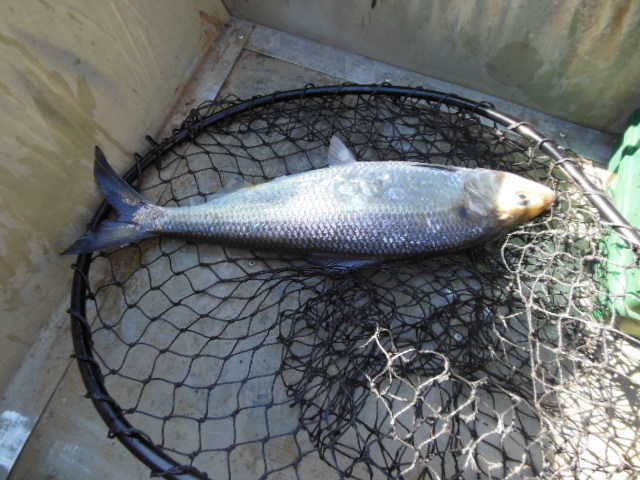 DSCN0194.jpg