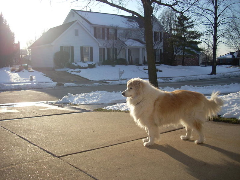 DSCN0196.jpg