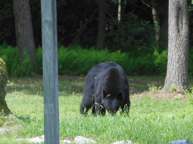DSCN0198.jpg