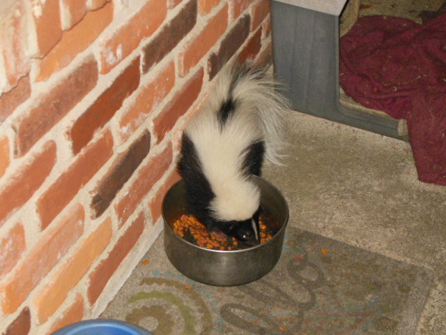 DSCN0203.jpg