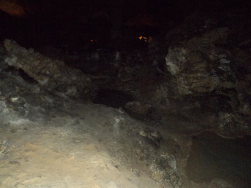 DSCN0206.jpg