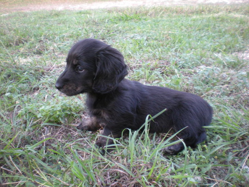 DSCN0216.jpg