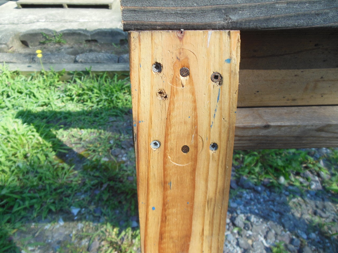DSCN0238.jpg