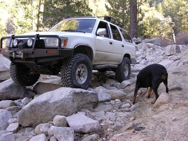 DSCN0270.jpg