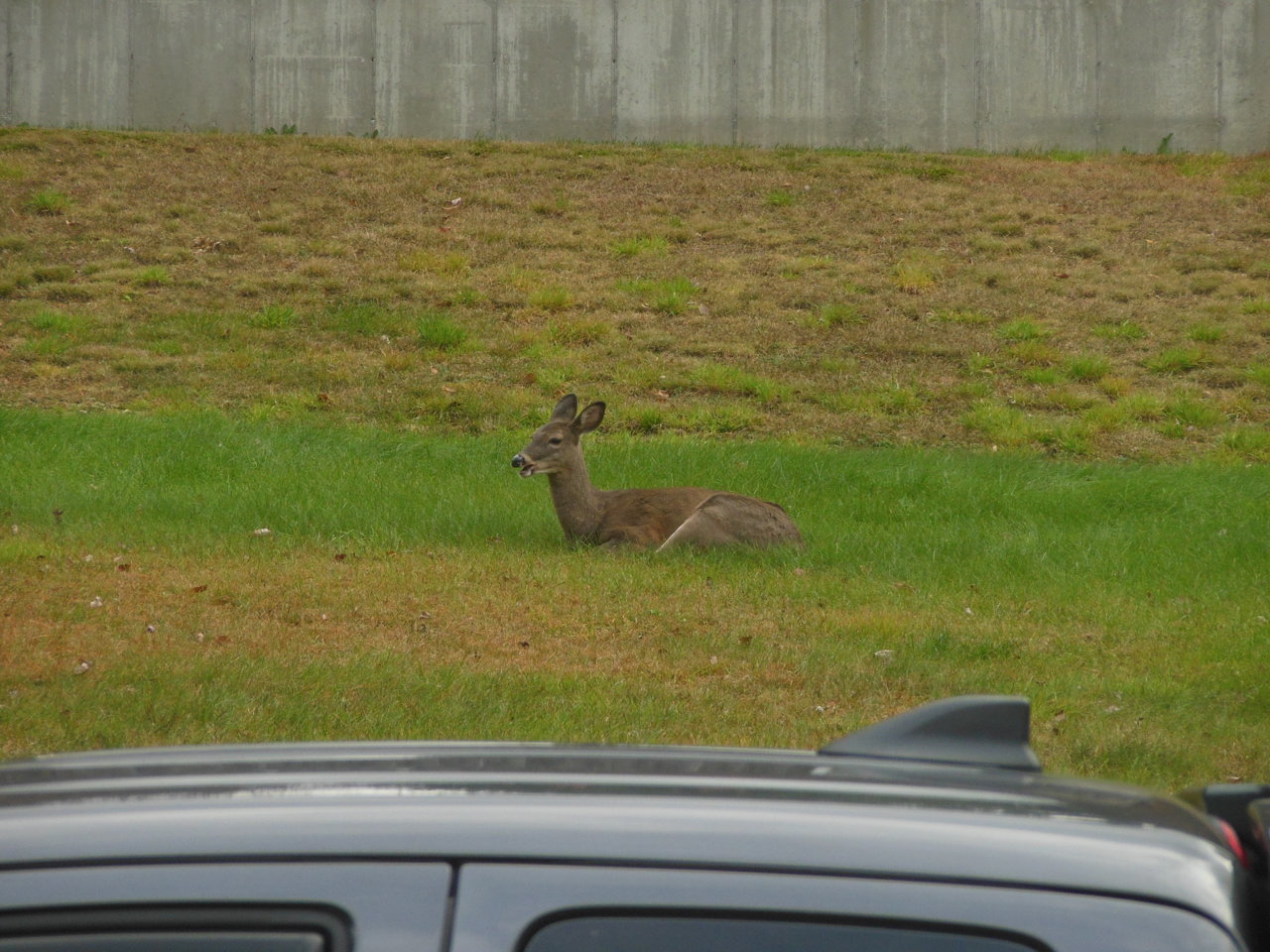 DSCN0272.jpg