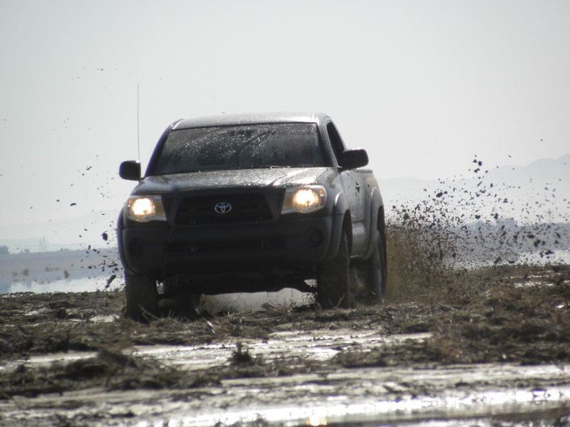 DSCN0310.jpg