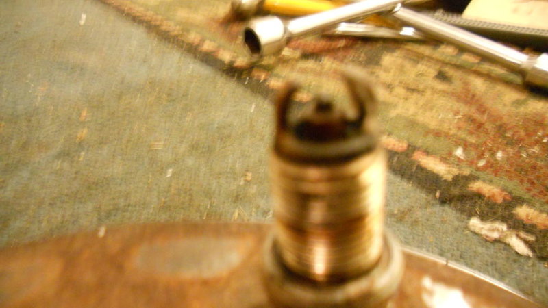 DSCN0348.jpg