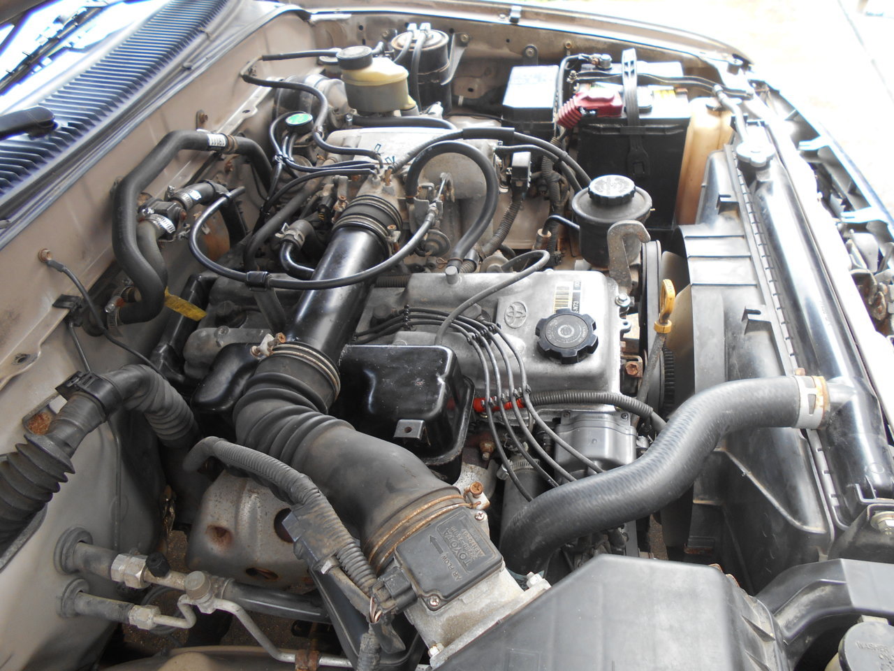 DSCN0360.jpg