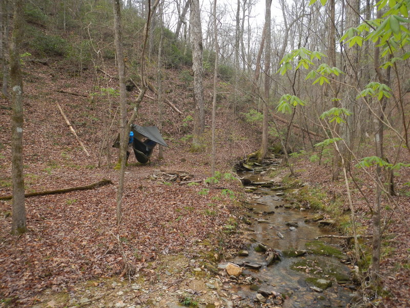 DSCN0375.jpg