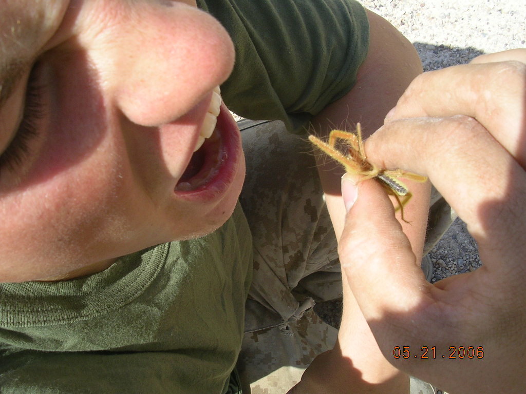 DSCN0400.jpg