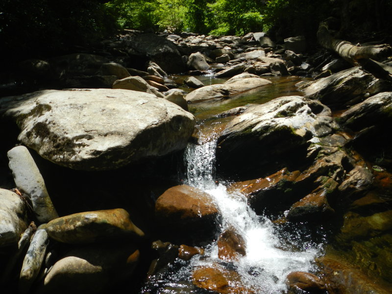 DSCN0410.jpg