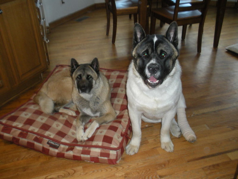 DSCN0438.jpg