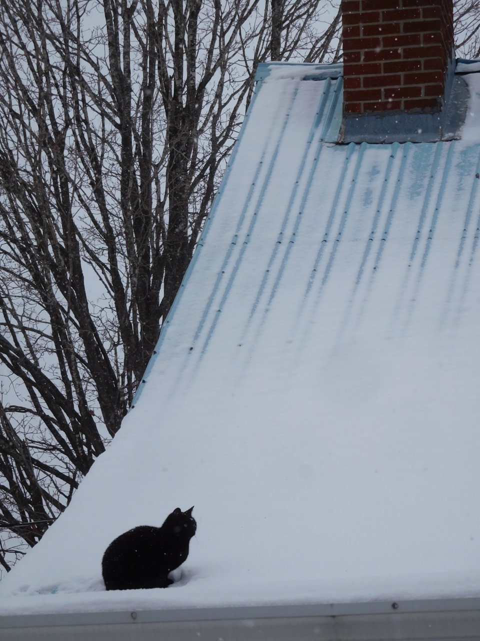 DSCN0460.jpg