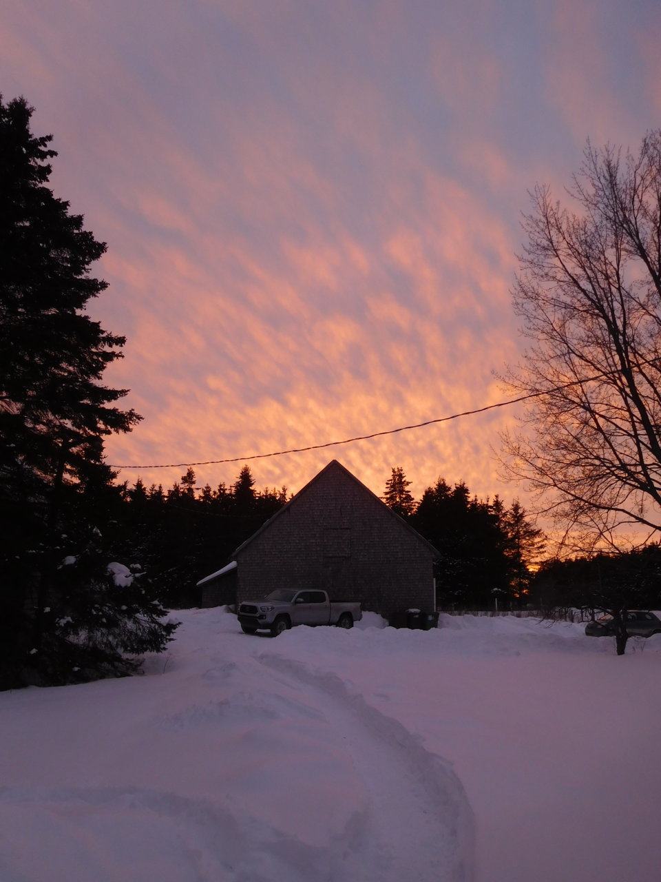 DSCN0485.jpg