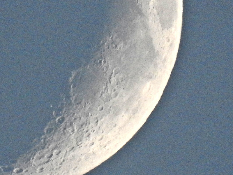 DSCN0503a.jpg