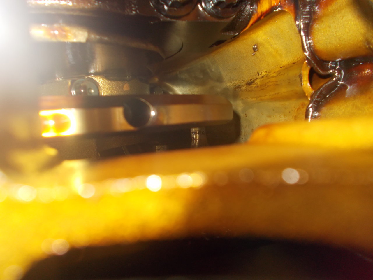 DSCN0513.jpg