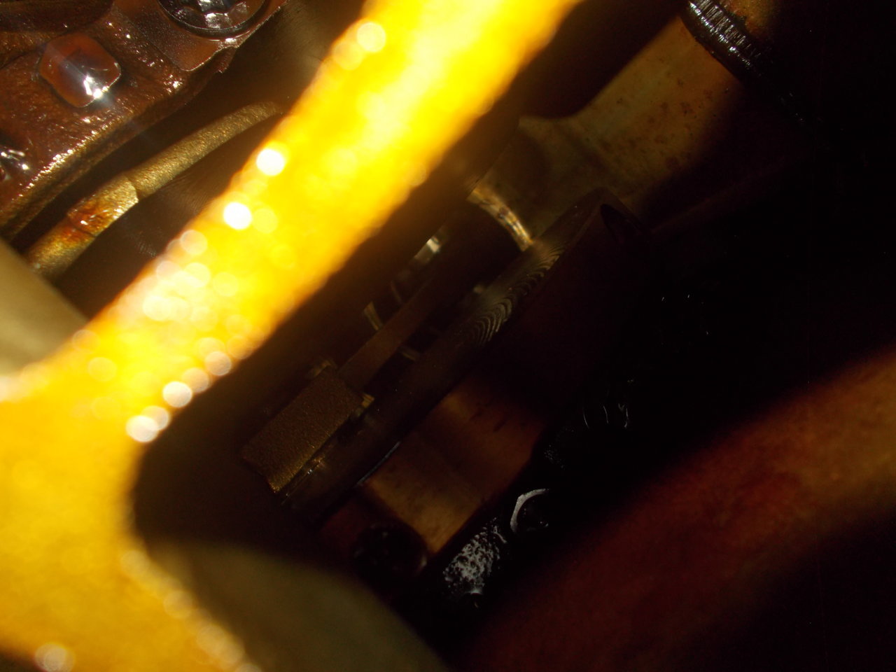 DSCN0515.jpg