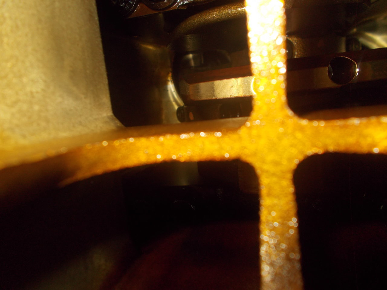 DSCN0517.jpg
