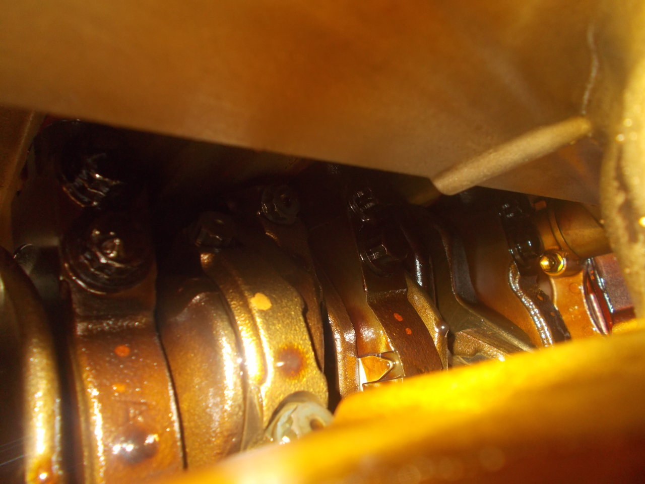 DSCN0518.jpg