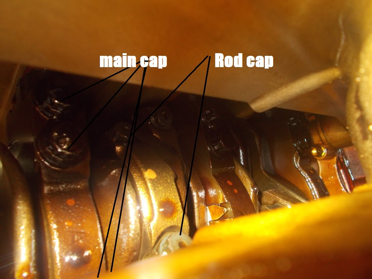 DSCN0518.jpg