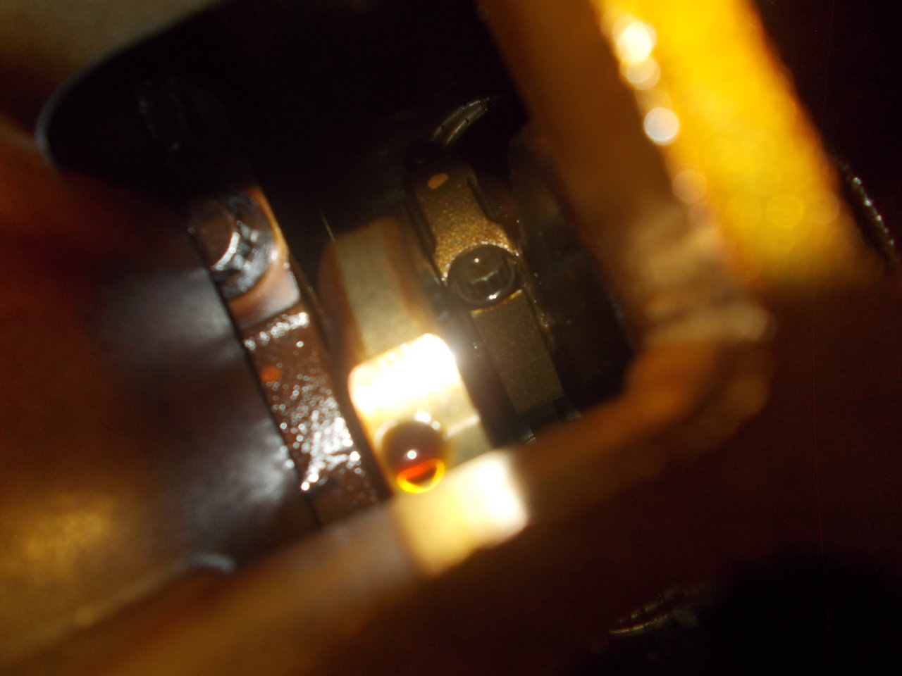 DSCN0519.jpg